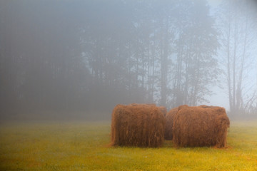 Sianokosy  © Wojciech Lisiński