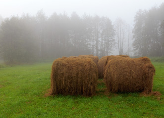 Sianokosy  © Wojciech Lisiński