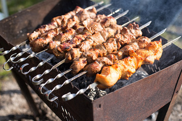 Shish kebab of the pork and chiken