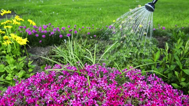 Blumengie&szlig;en mit der Gie&szlig;kanne