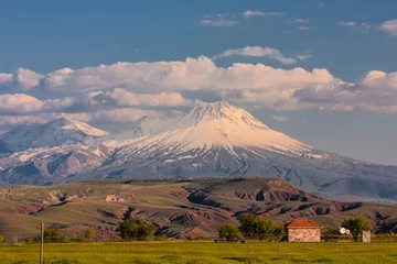 Foto op Canvas Sacred Mountain Ararat in spring © vladislav333222