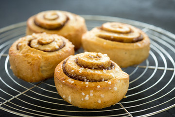 Cinnamon Bun