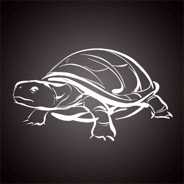 Tortue