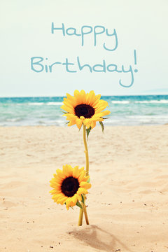 greeting card background - sunflower at beach - happy birthday