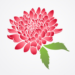 vector of isolated red chinese flower