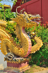 Fototapeta premium Dragon statue at temple wall