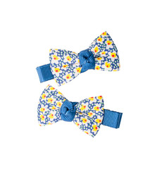 Hairclips isolated on white background