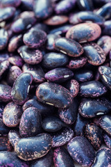 Purple beans on white background close up