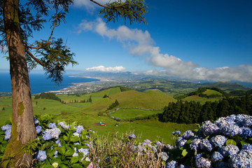 The landscapen on Sao Miguel