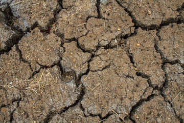 Dry cracked earth texture at thailand