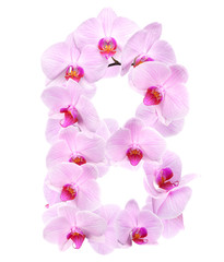 letter B from orchid flowers