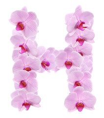 Fototapeta na wymiar letter H from orchid flowers