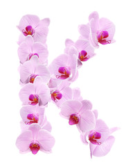 letter K from orchid flowers