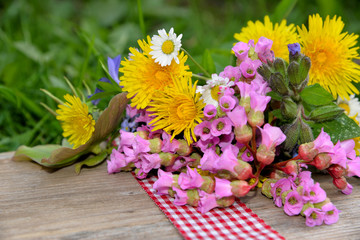 Fototapeta na wymiar Frühlingsblumen auf einem holzbrett