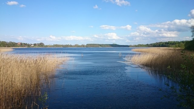 SCHAALSEE