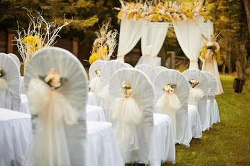 Beautiful wedding cerremony in forest.