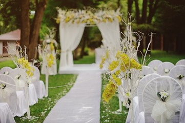 Beautiful wedding cerremony in forest.