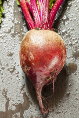 Fresh organic beetroot with tops, selective focus