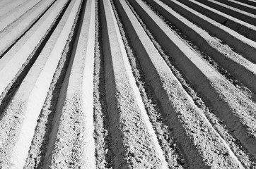 Abstract patterns with lines on the field on the black-and-white