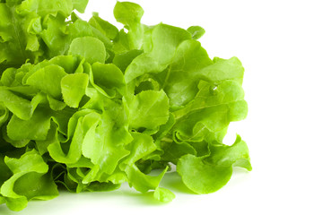 green salad isolated on a white background