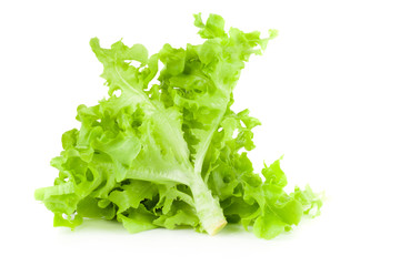 green salad isolated on a white background