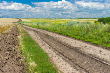 Fototapeta na wymiar Classic Ukrainian summer landscape with corn fields and road