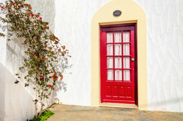 Fototapeta na wymiar Wooden red doors and green bush with red flower over clear white