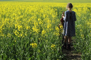 Girl with violin in the field of rape
