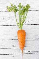 Fresh organic carrots.