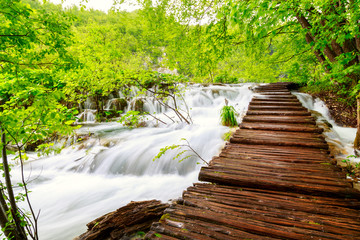 Obraz premium Wooden path in National Park in Plitvice