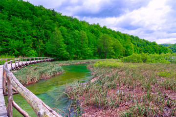 Fototapeta na wymiar Wooden tourist path in Plitvice lakes national park