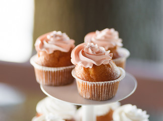 Cupcakes closeup at the banquet table