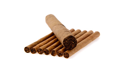 Cigars on White Background