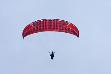 Paraglider