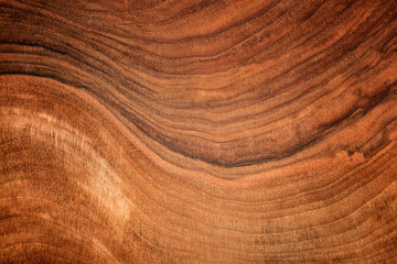 Texture of walnut - obrazy, fototapety, plakaty