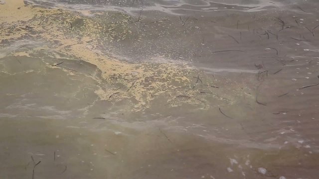 Extremely polluted water waves 