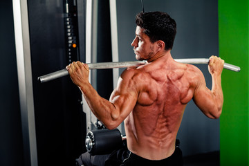 Fototapeta na wymiar muscular man training back