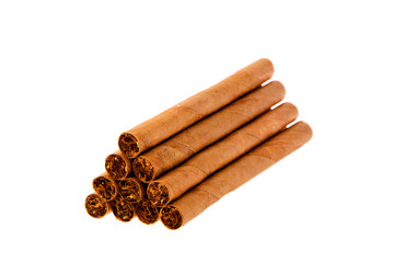 Cigars on White Background