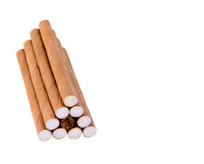 Cigars on White Background