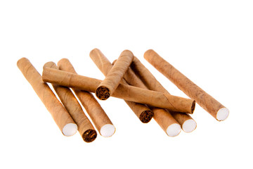 Cigars on White Background