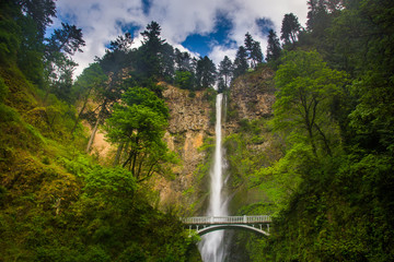 Fototapeta na wymiar Multnomah Falls and bridge, in the Columbia River Gorge, Oregon.