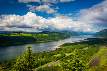 View of the Columbia River from the Vista House, at the Columbia