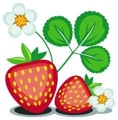 Strawberry isolated on a white background