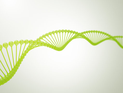 DNA model green