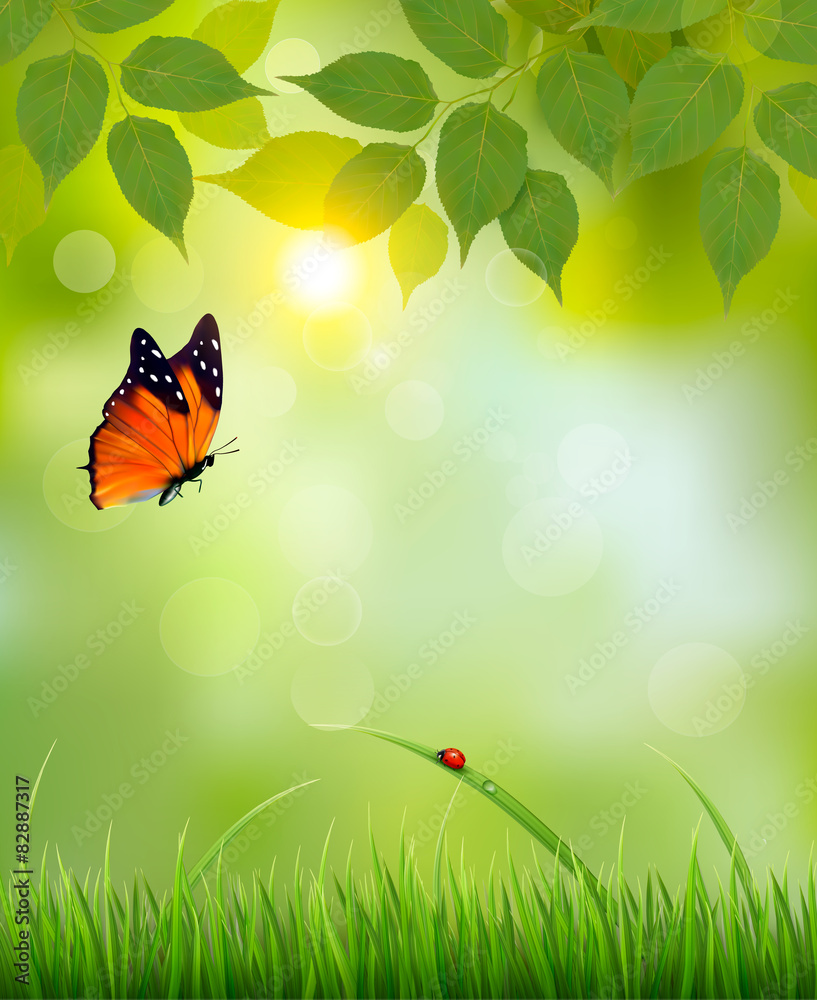 Poster nature summer background with leaves and grass. vector.