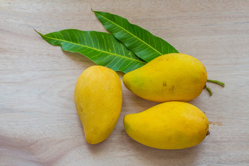 Mango