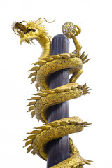 Fototapeta premium Gold dragon