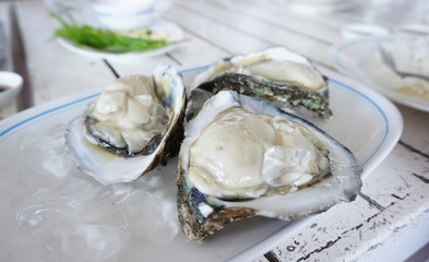 Fresh oyster on white plates