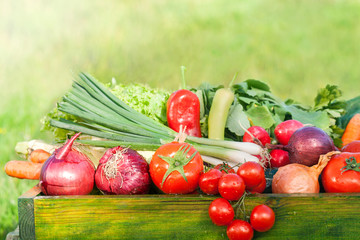 fresh organic vegetables