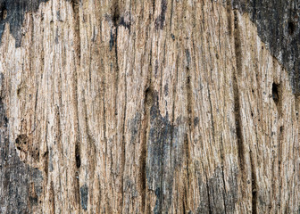 abstract dirty wood texture